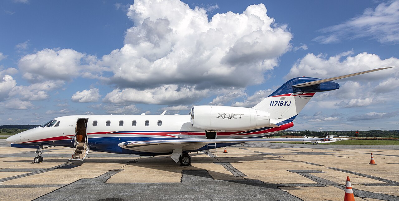 Citation X — family reference; plus variant not confirmed.
